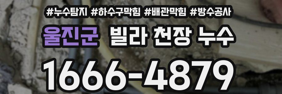 울진군 빌라 천장 누수