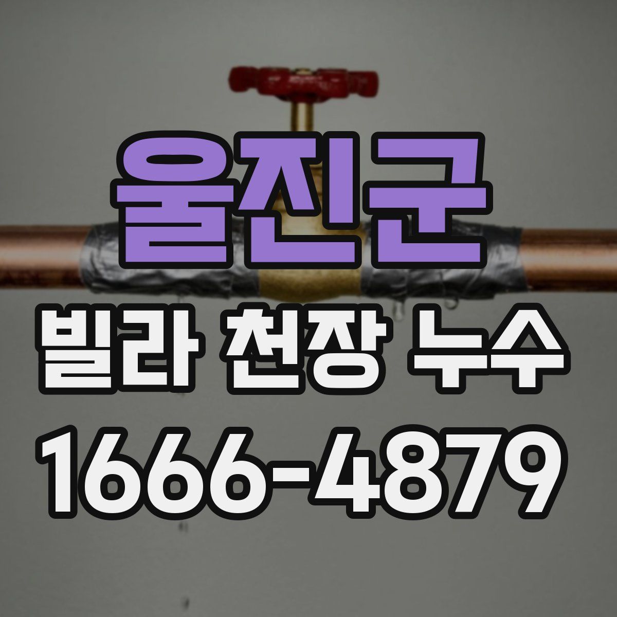 울진군 빌라 천장 누수