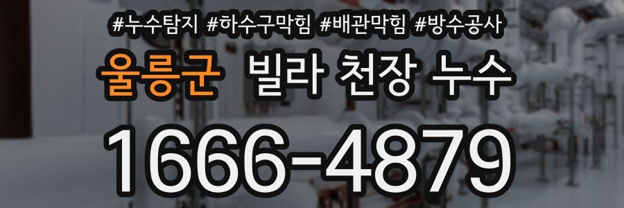울릉군 빌라 천장 누수
