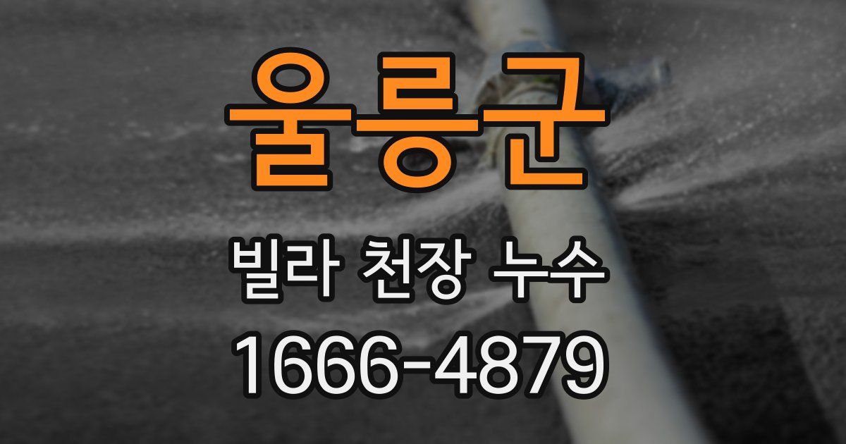 울릉군 빌라 천장 누수
