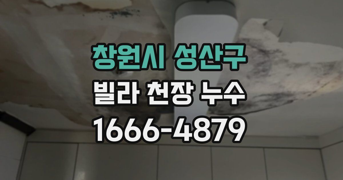창원시 성산구 빌라 천장 누수