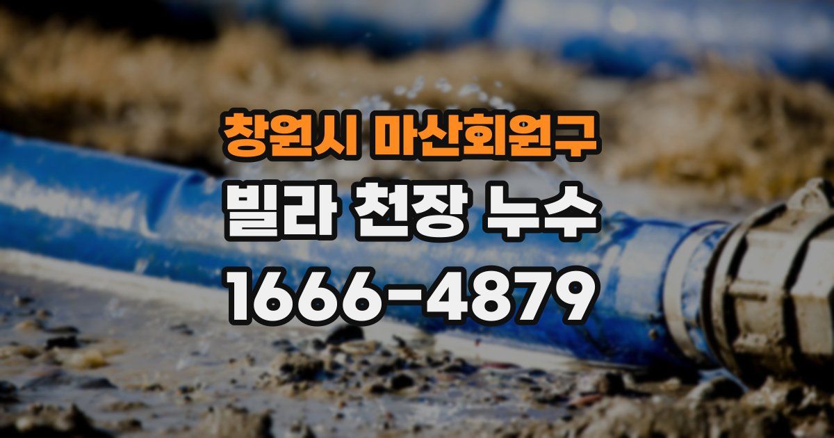 창원시 마산회원구 빌라 천장 누수