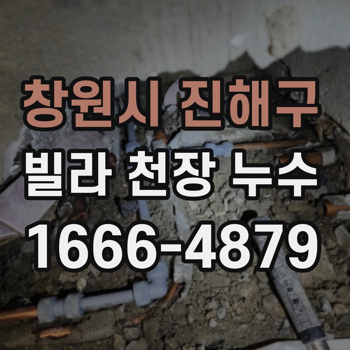 창원시 진해구 빌라 천장 누수