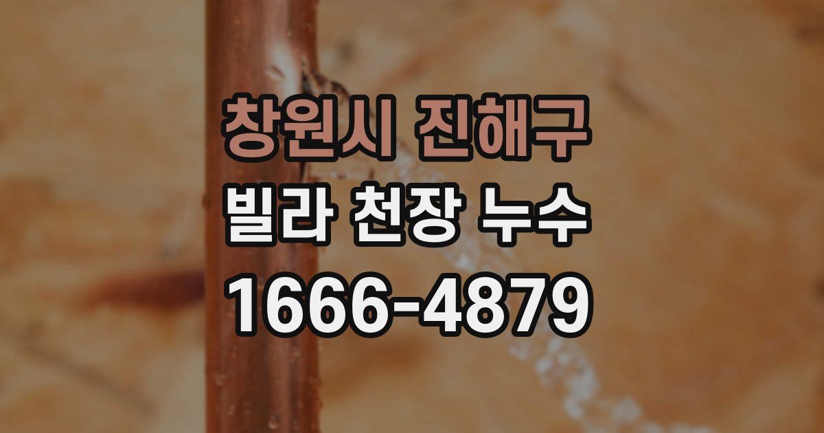 창원시 진해구 빌라 천장 누수
