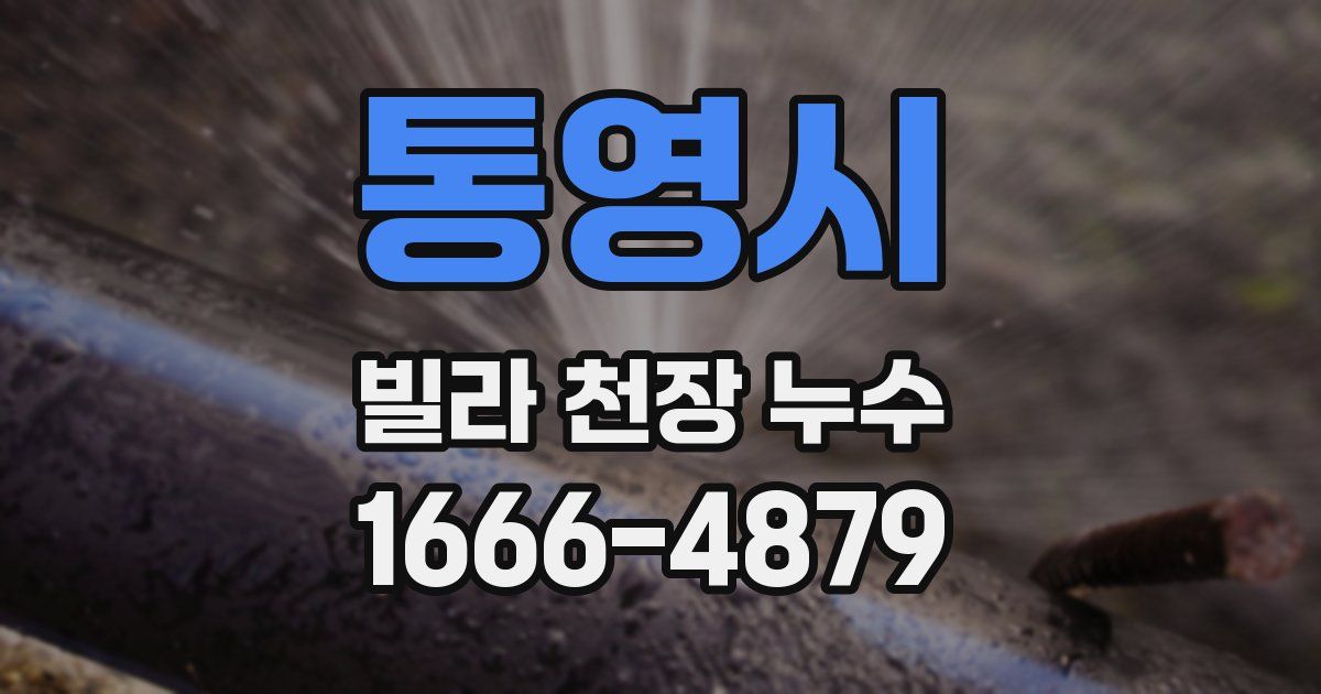 통영시 빌라 천장 누수