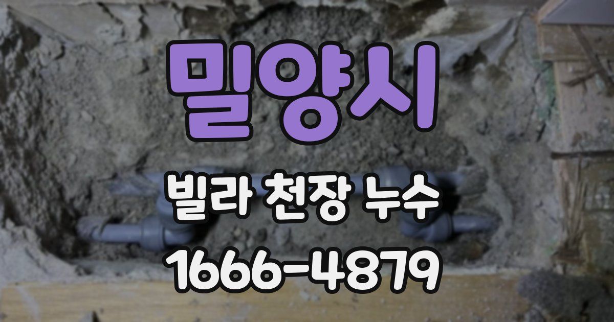 밀양시 빌라 천장 누수