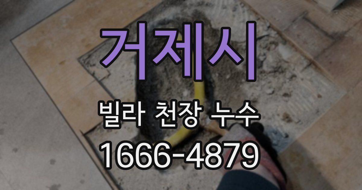 거제시 빌라 천장 누수
