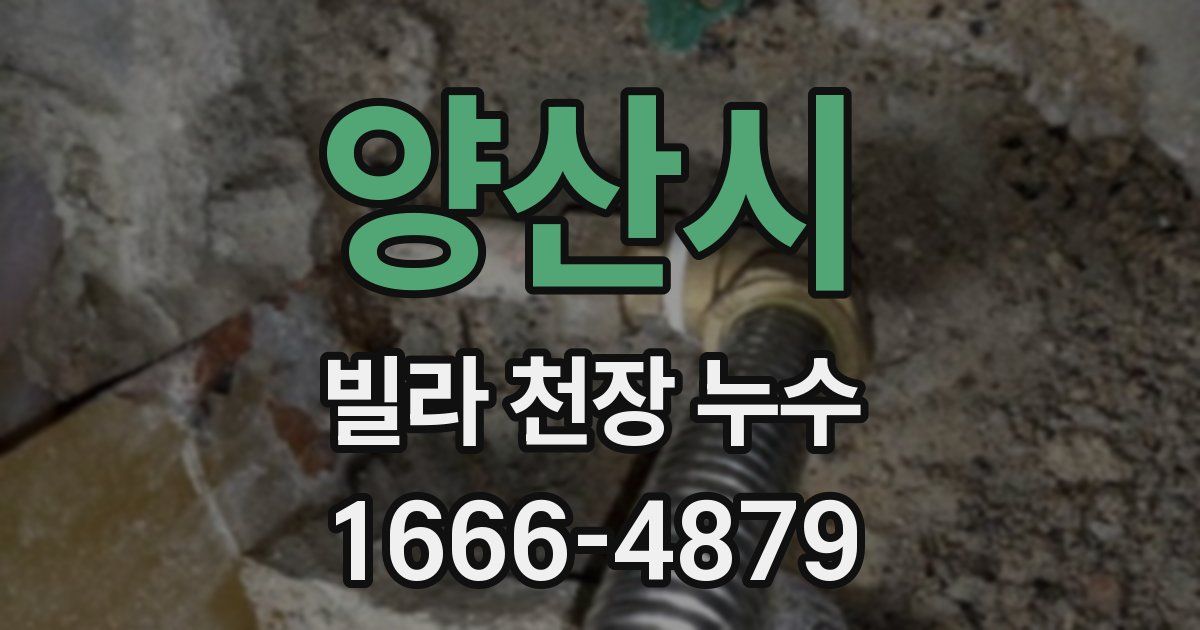 양산시 빌라 천장 누수