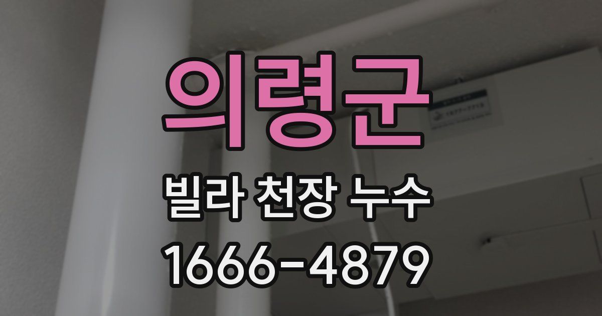 의령군 빌라 천장 누수