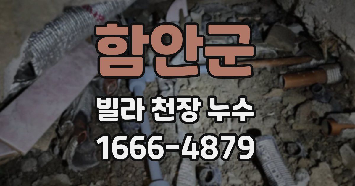 함안군 빌라 천장 누수