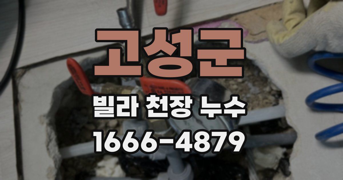 고성군 빌라 천장 누수