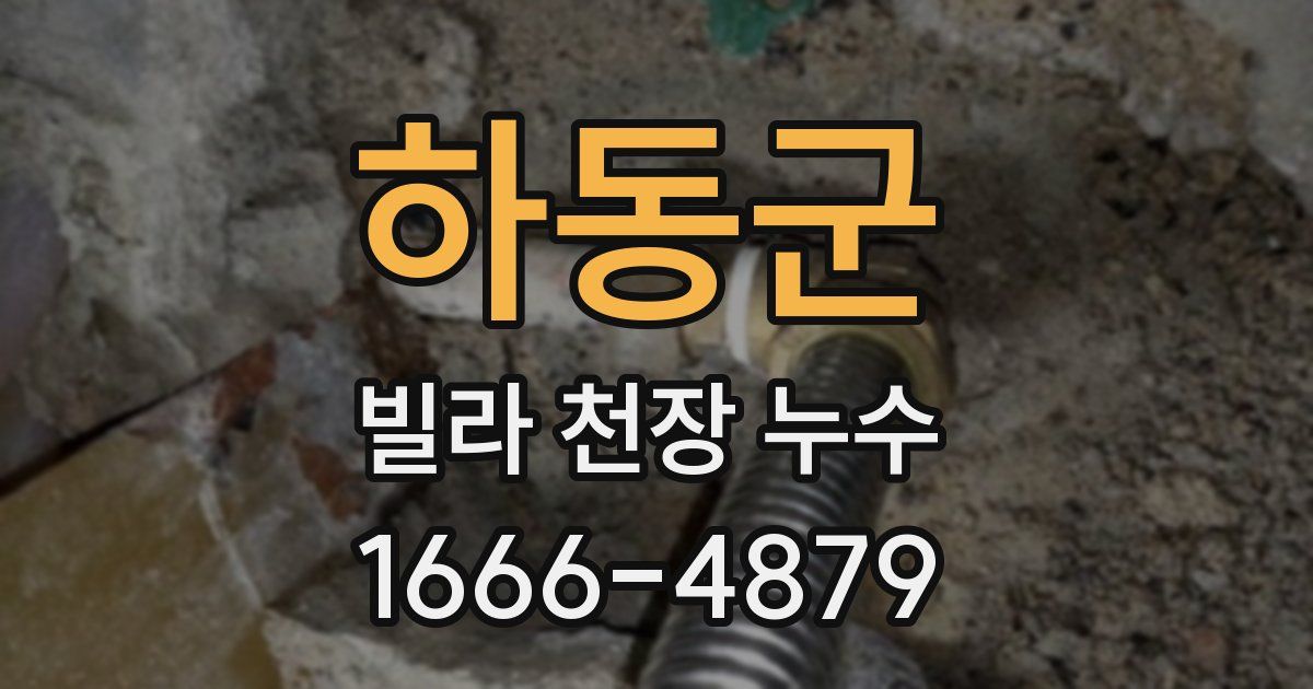 하동군 빌라 천장 누수