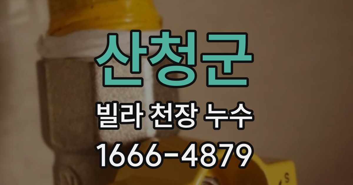 산청군 빌라 천장 누수