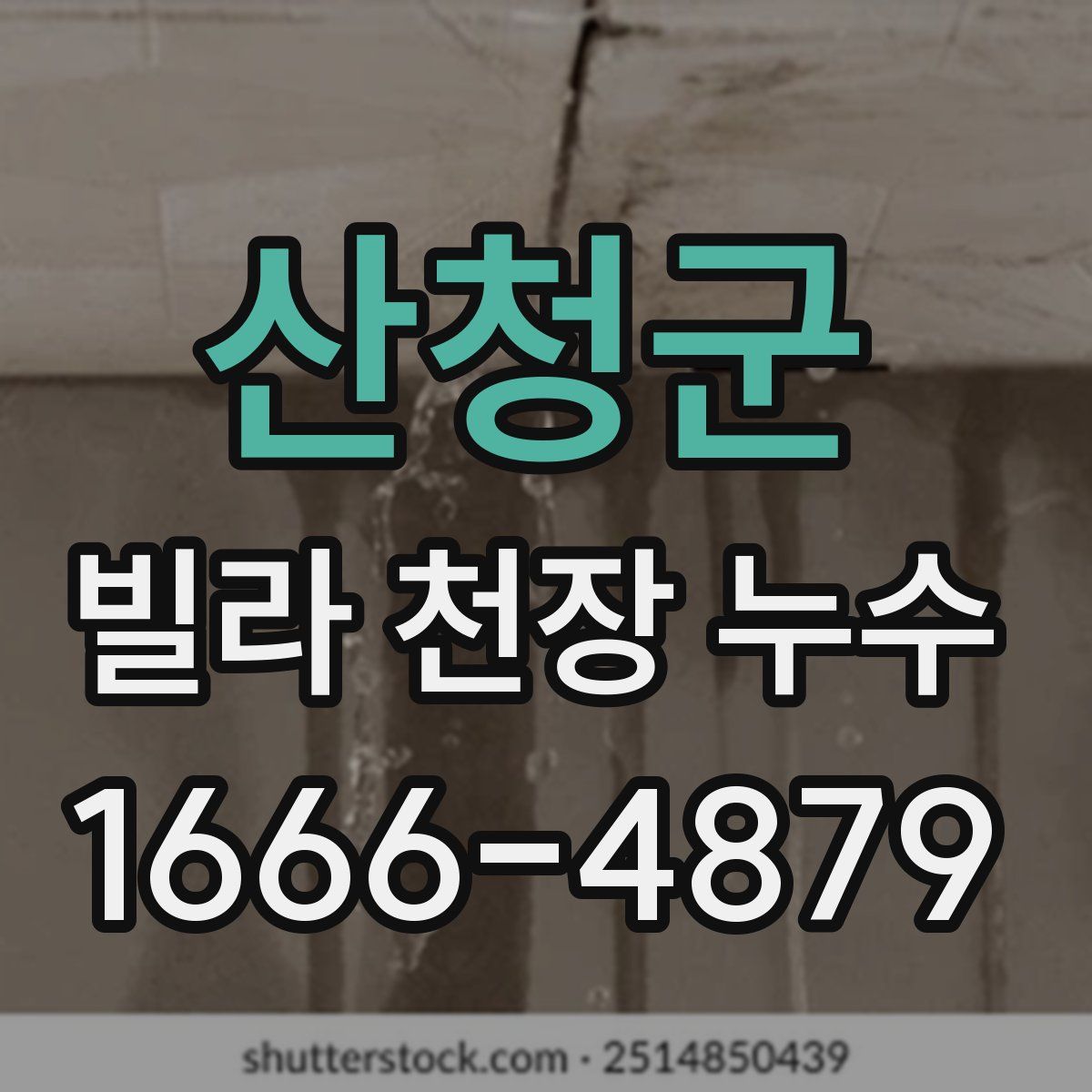 산청군 빌라 천장 누수
