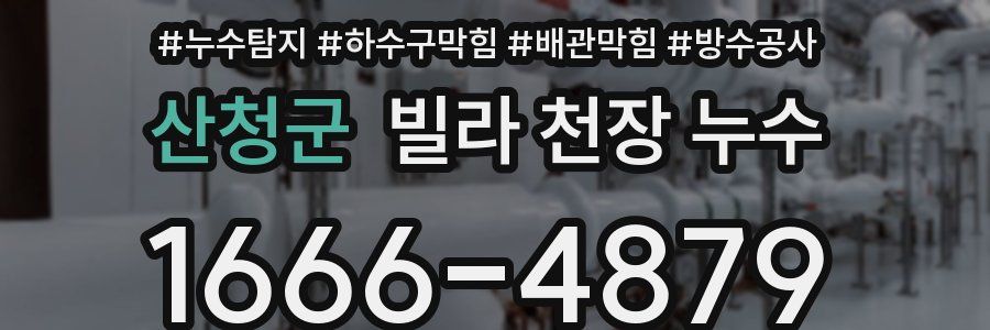 산청군 빌라 천장 누수