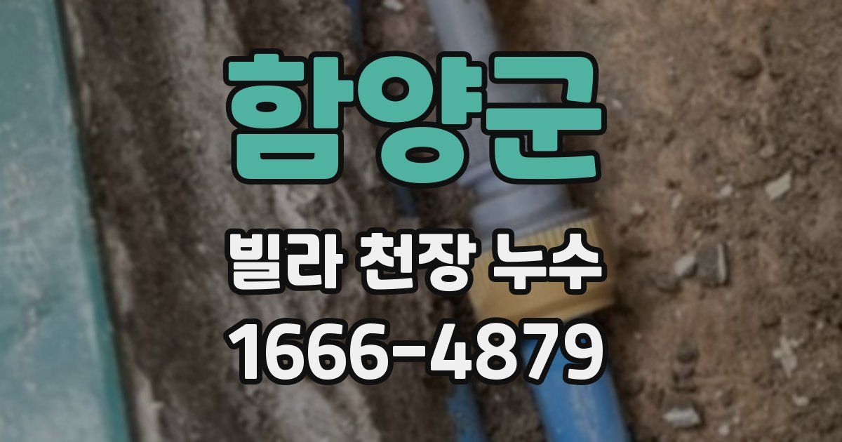 함양군 빌라 천장 누수