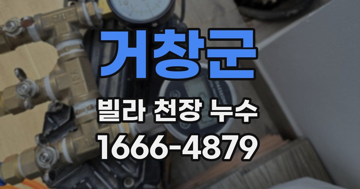 거창군 빌라 천장 누수