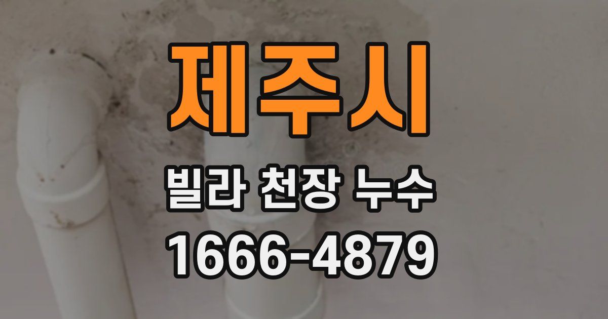 제주시 빌라 천장 누수