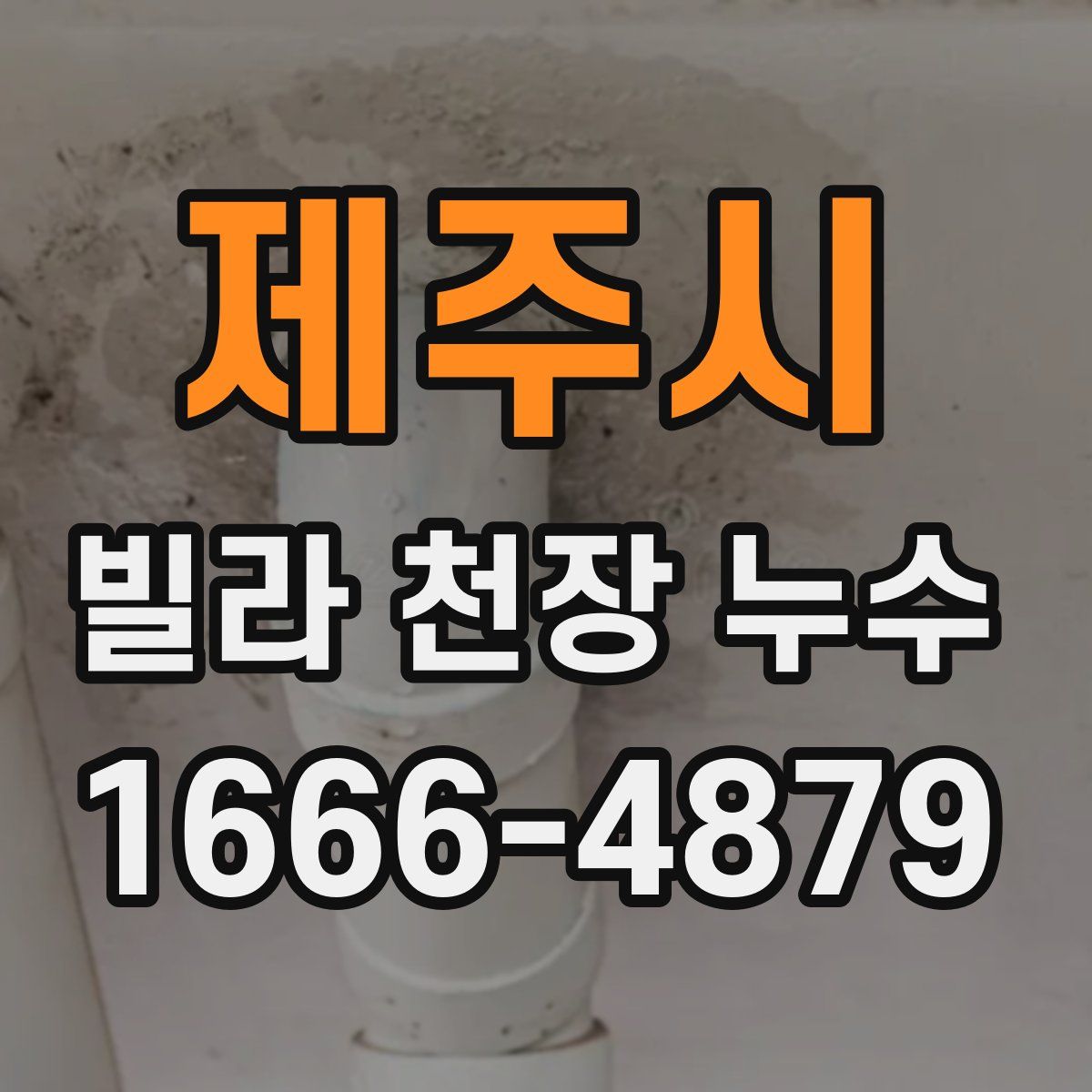 제주시 빌라 천장 누수