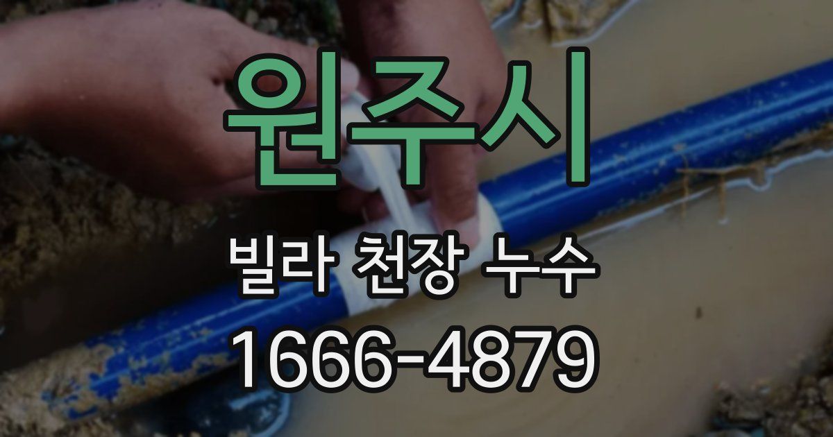 원주시 빌라 천장 누수
