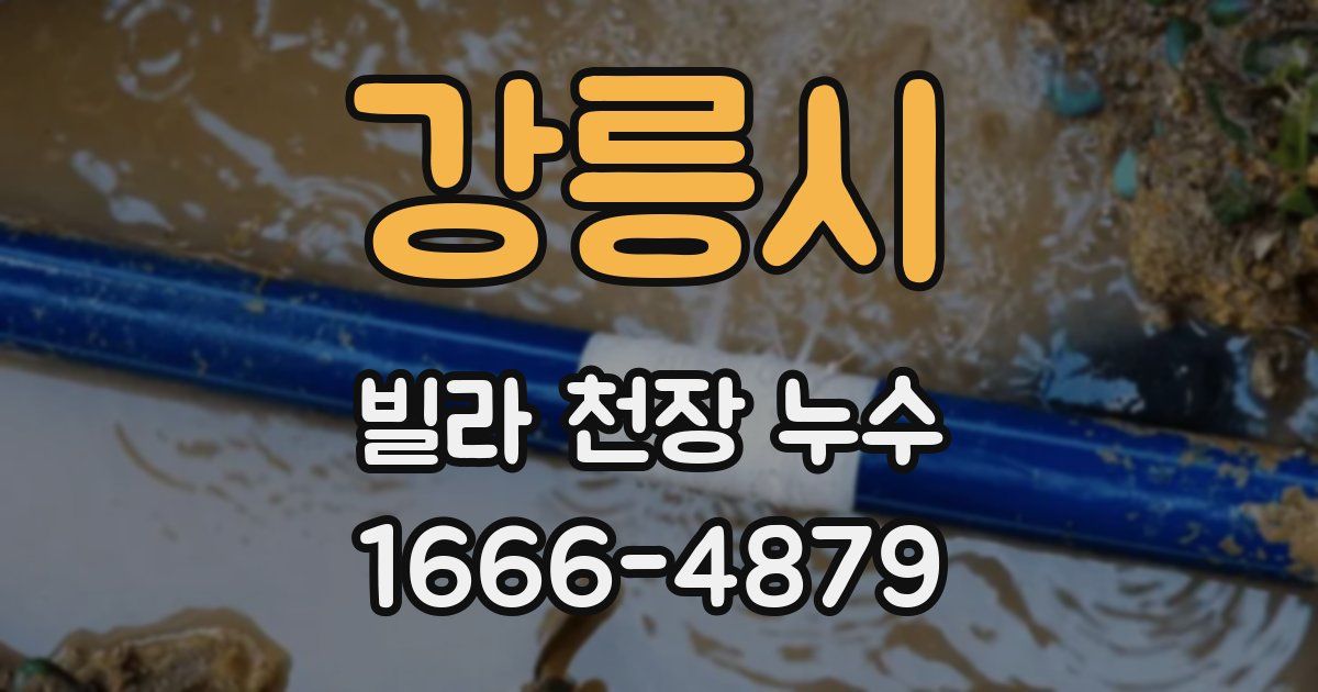 강릉시 빌라 천장 누수