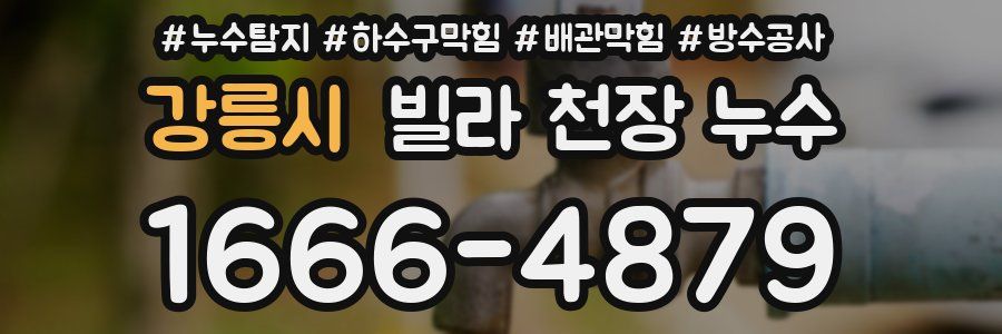 강릉시 빌라 천장 누수