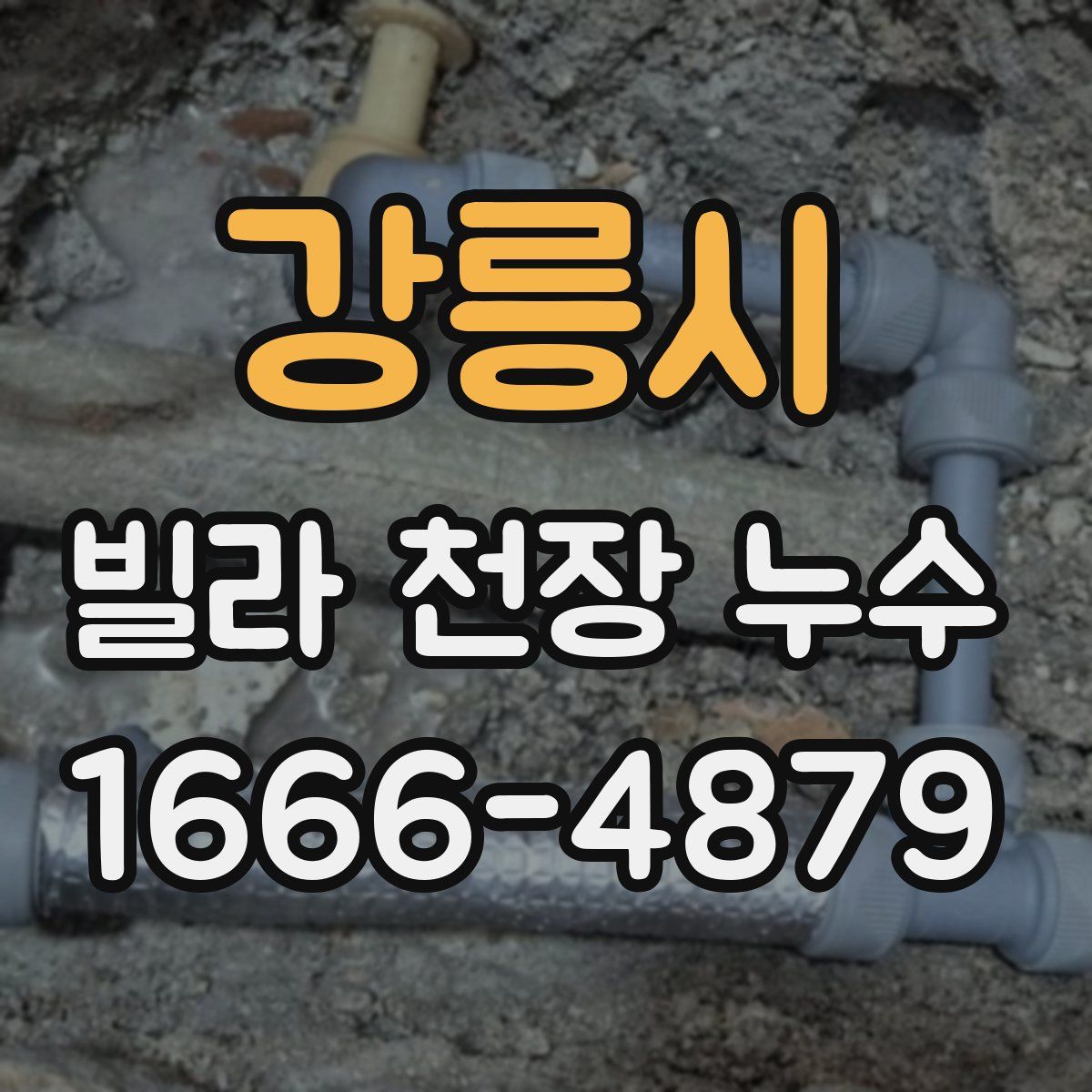 강릉시 빌라 천장 누수