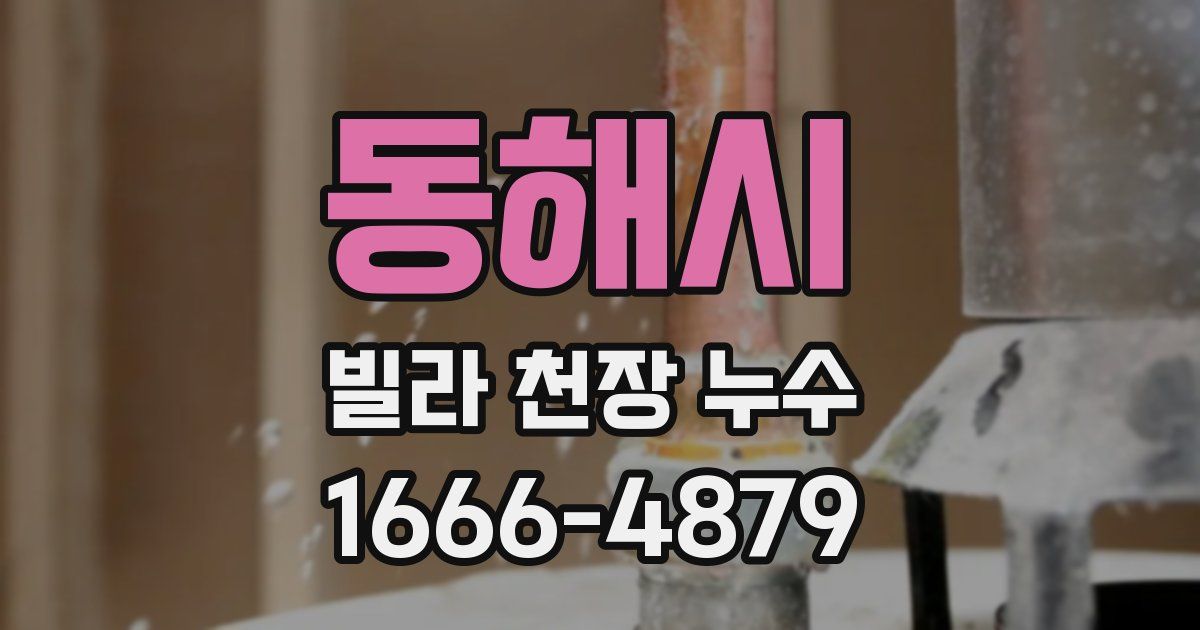 동해시 빌라 천장 누수