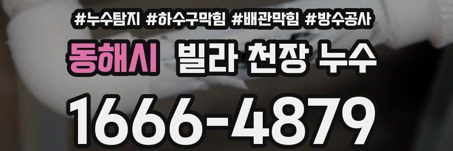 동해시 빌라 천장 누수