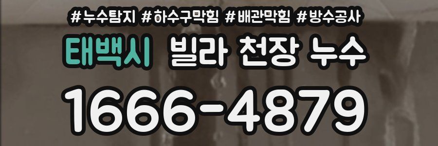 태백시 빌라 천장 누수