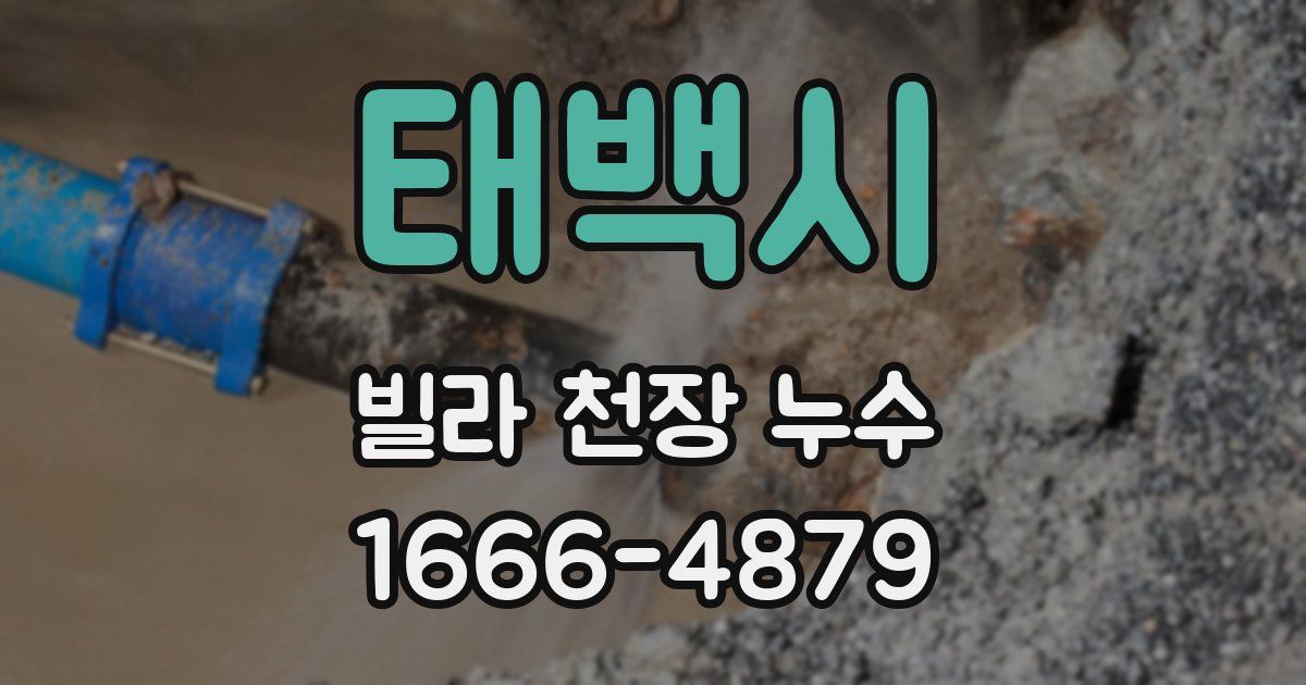 태백시 빌라 천장 누수