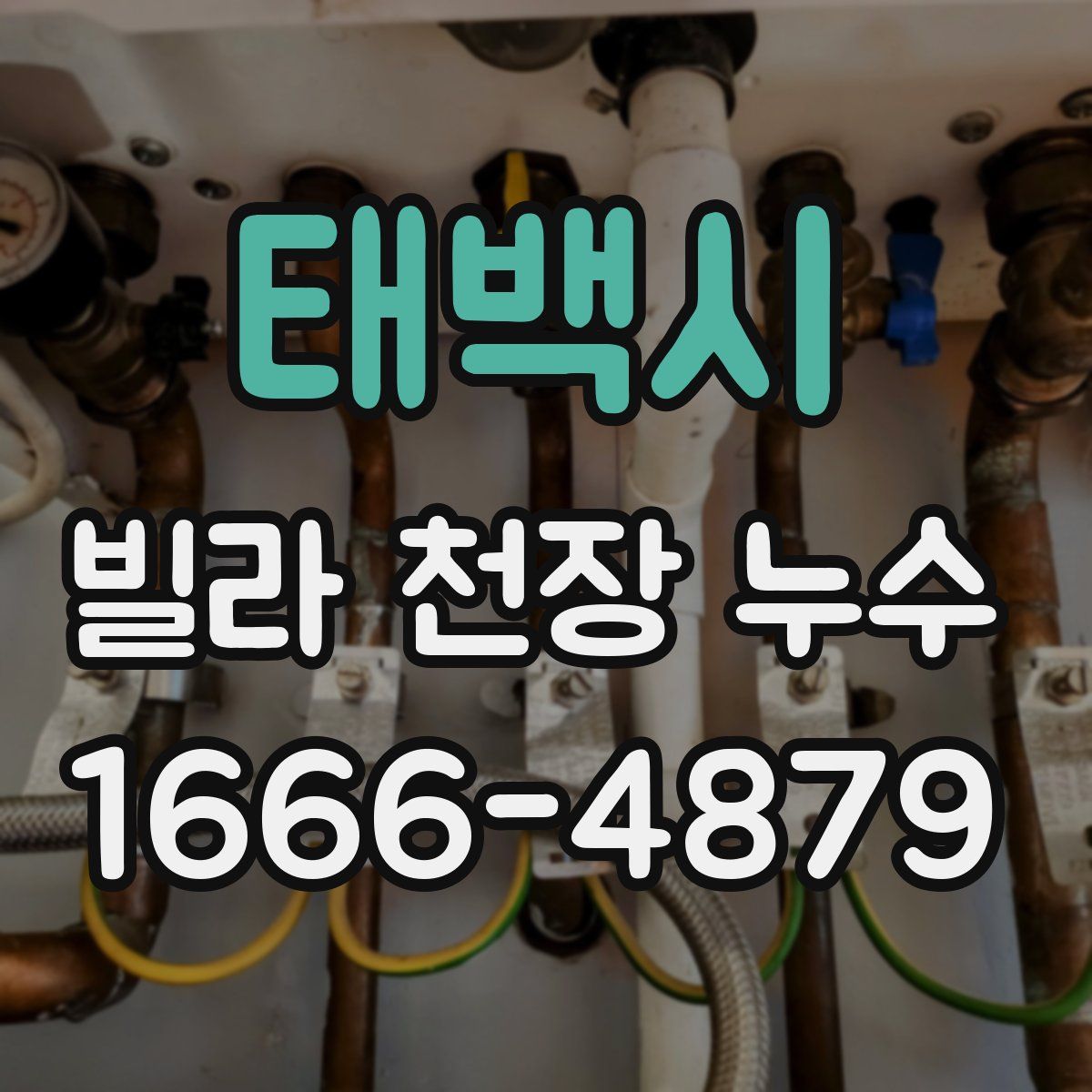 태백시 빌라 천장 누수