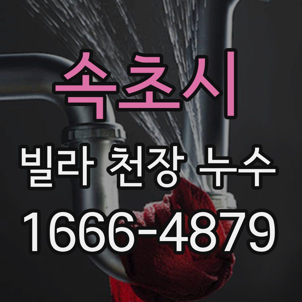 속초시 빌라 천장 누수
