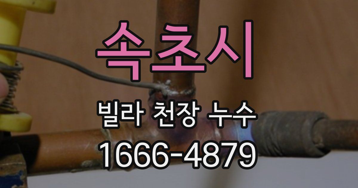 속초시 빌라 천장 누수