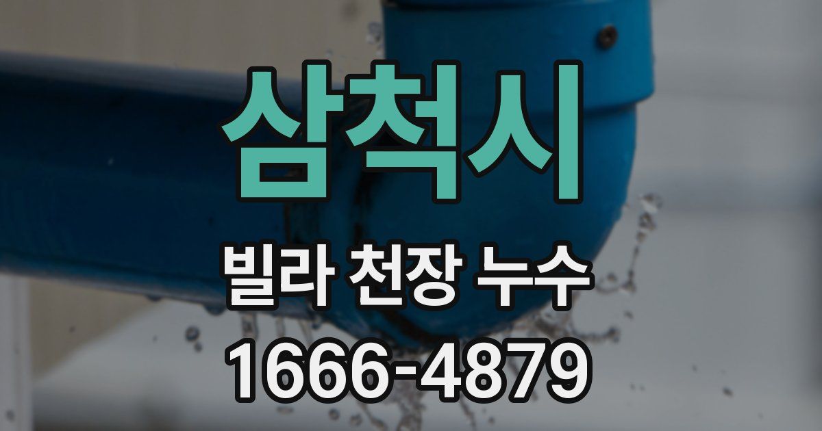 삼척시 빌라 천장 누수