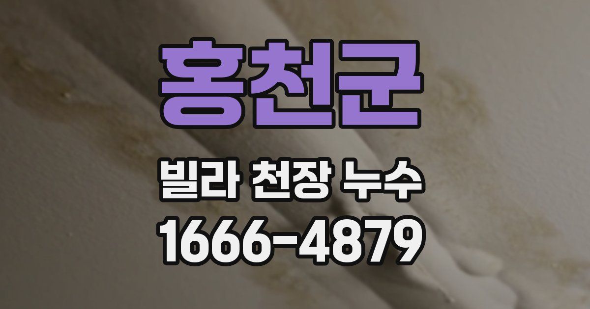 홍천군 빌라 천장 누수