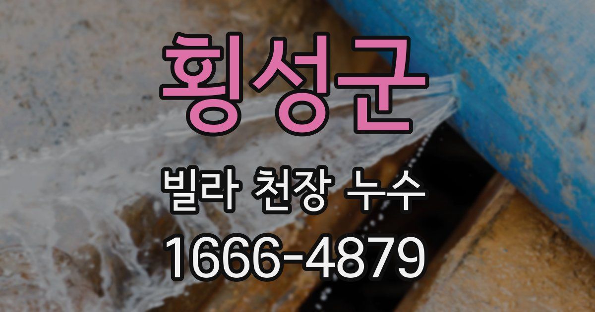 횡성군 빌라 천장 누수