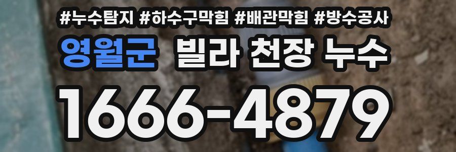 영월군 빌라 천장 누수