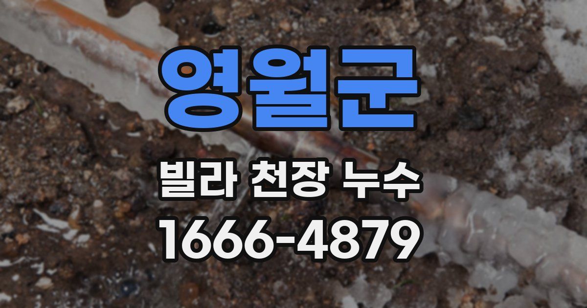 영월군 빌라 천장 누수