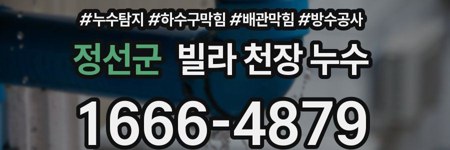 정선군 빌라 천장 누수