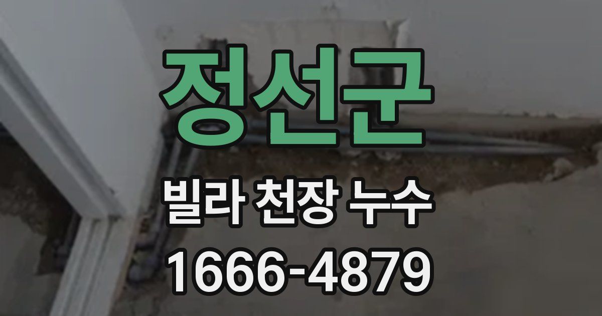 정선군 빌라 천장 누수