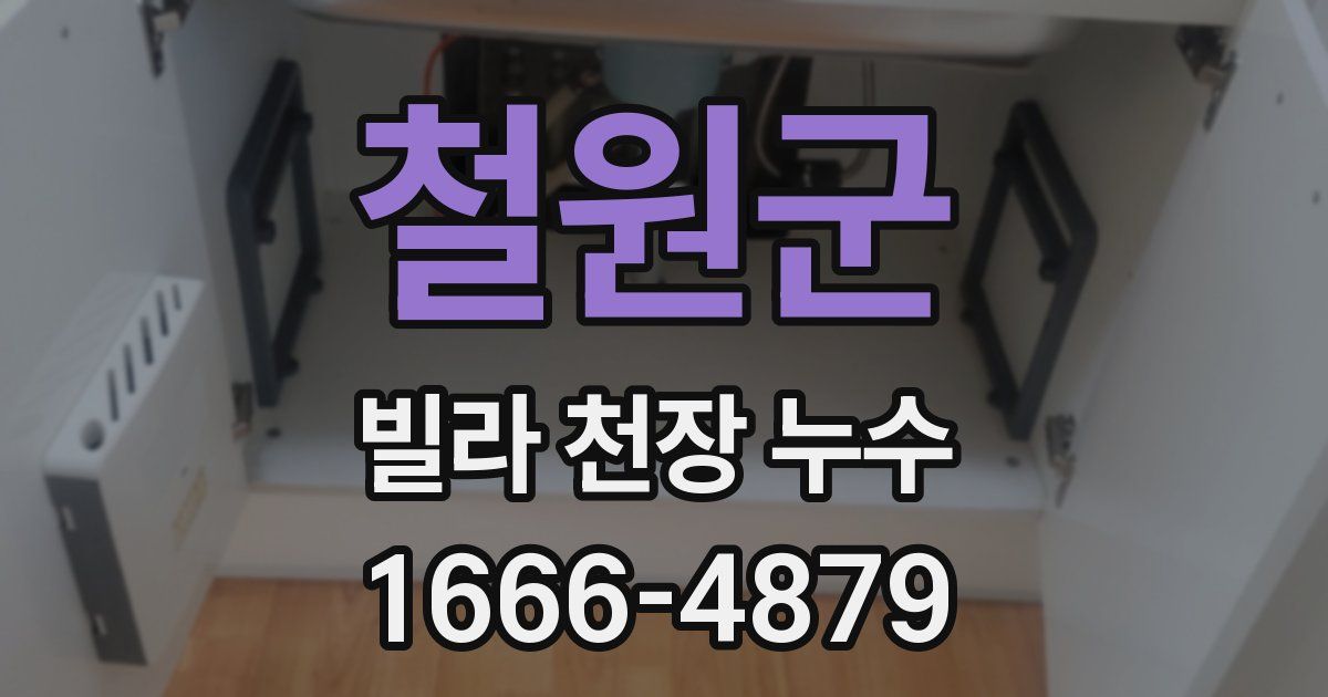 철원군 빌라 천장 누수