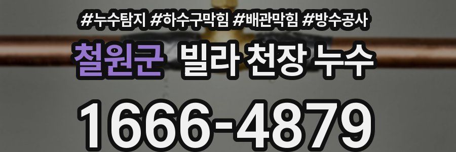 철원군 빌라 천장 누수