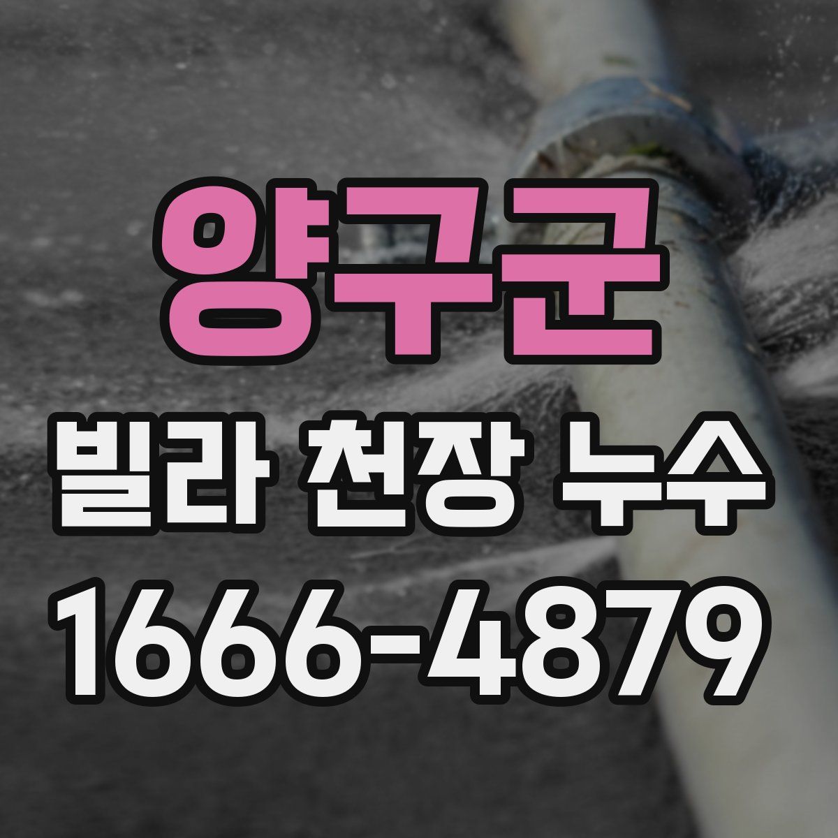 양구군 빌라 천장 누수