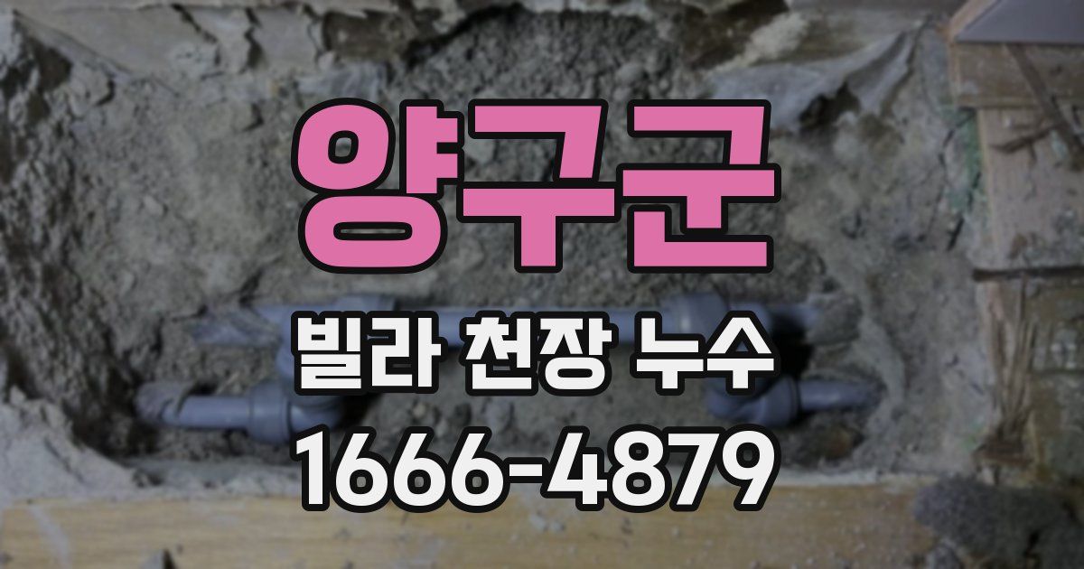 양구군 빌라 천장 누수