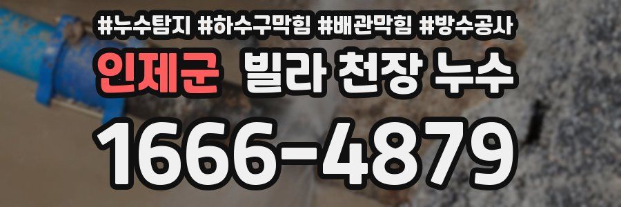 인제군 빌라 천장 누수