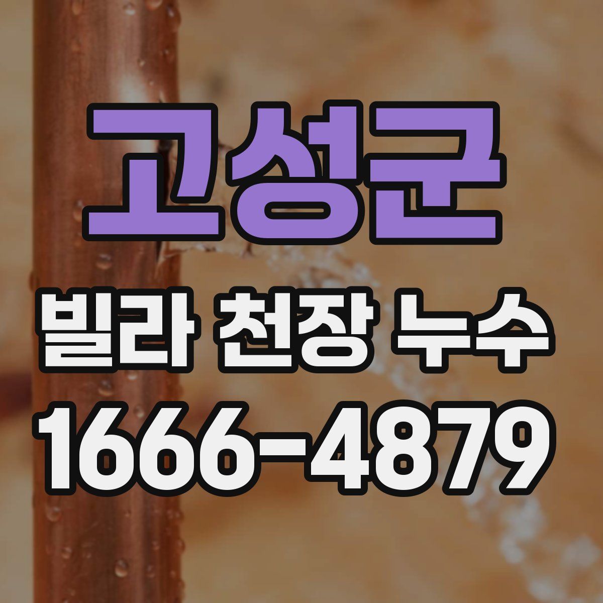 고성군 빌라 천장 누수