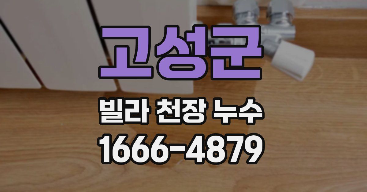 고성군 빌라 천장 누수