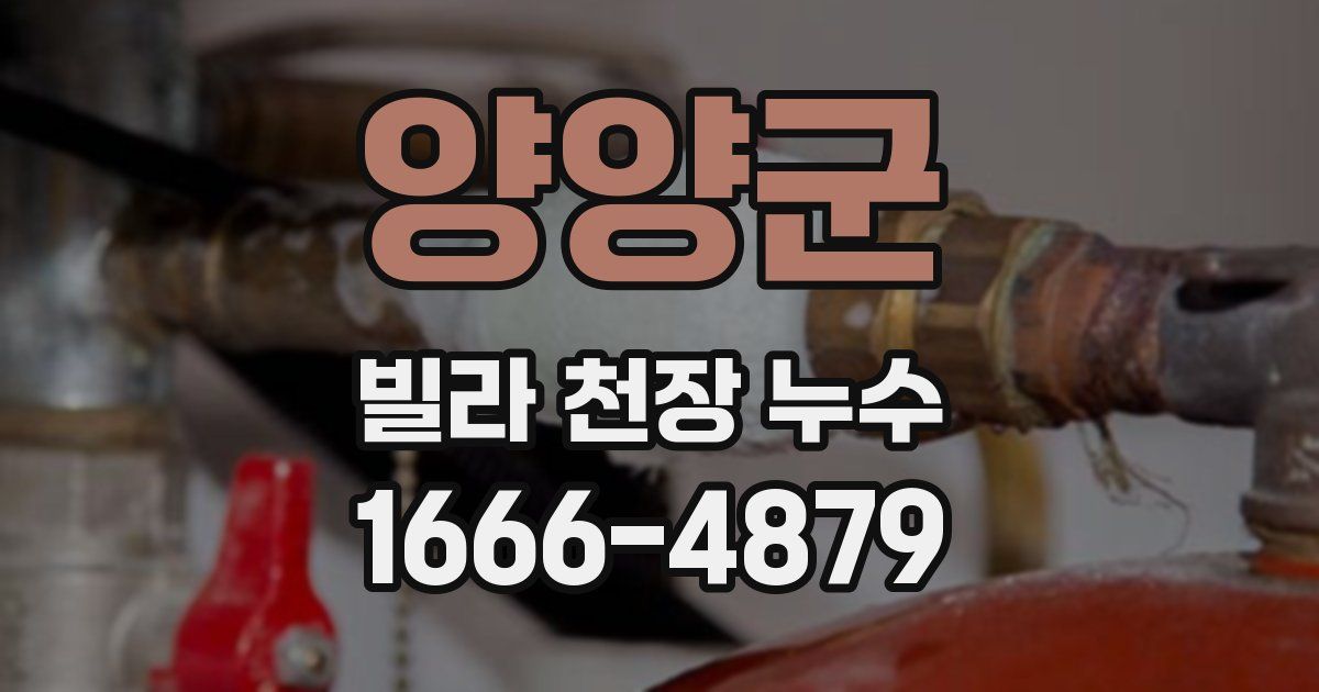 양양군 빌라 천장 누수