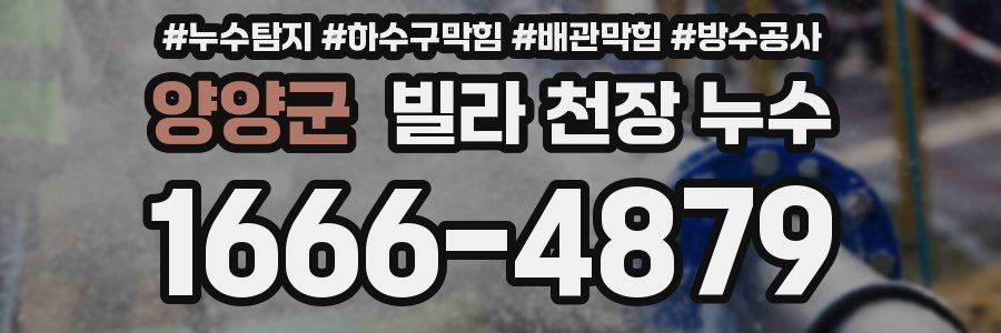 양양군 빌라 천장 누수